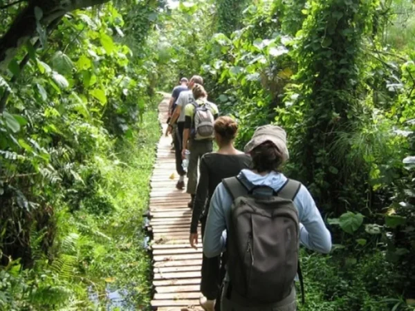 Exploring Phu Quoc National Park: A Nature Lover’s Guide